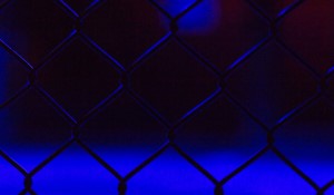 The UFC-Ngannou Standoff: A Battle of Perspectives